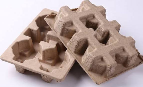 Molded Pulp Inserts Market: Growth Analysis, Key Drivers, Segmentation, and Forecast