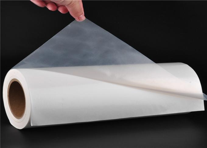 Mylar Film Market: Growth Analysis, Drivers, Segmentation, and Forecast