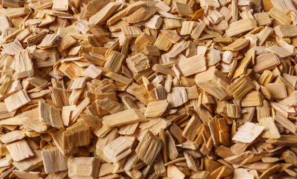 Wood Pulp Market: Growth Analysis, Drivers, Segmentation, and Forecast